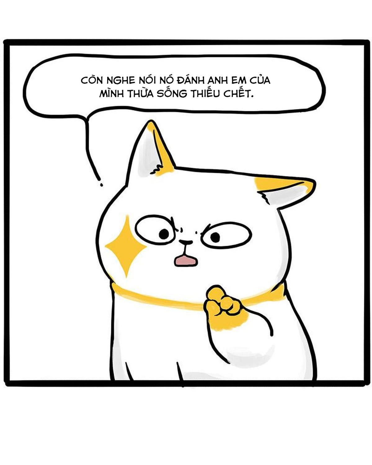 Hoàng Thượng Và Ba Trát Hắc Chapter 446 - Trang 2