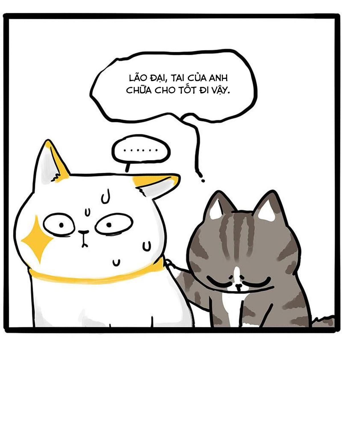 Hoàng Thượng Và Ba Trát Hắc Chapter 446 - Trang 2