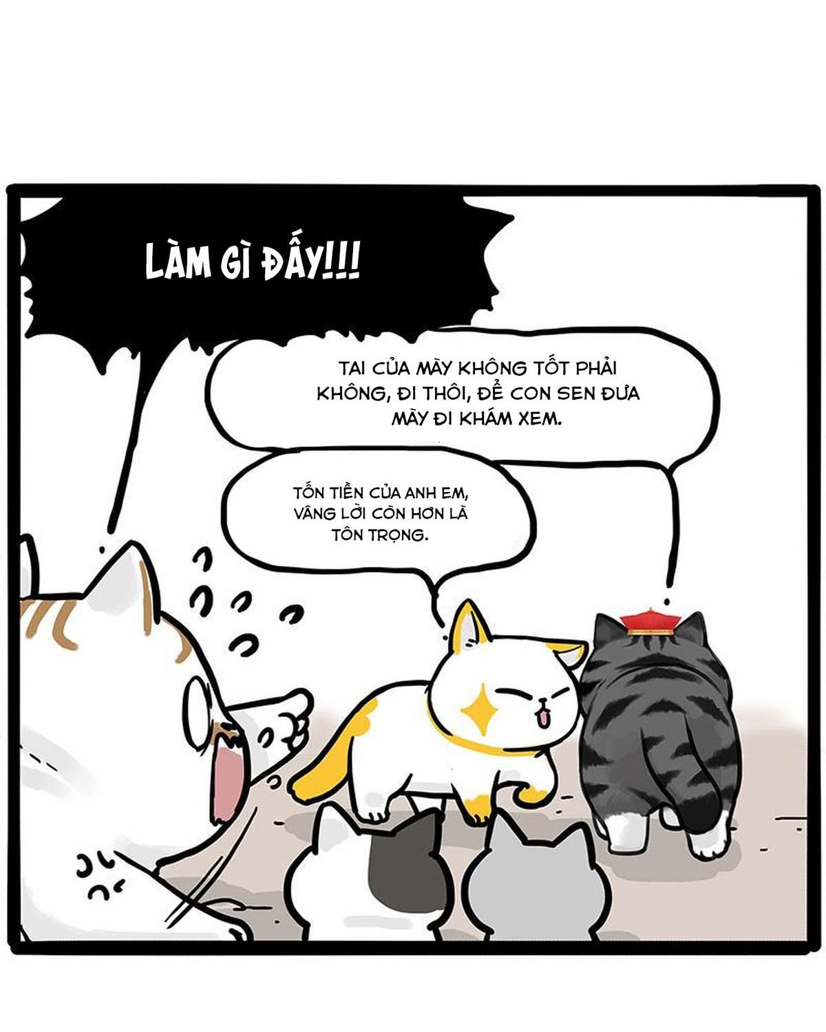 Hoàng Thượng Và Ba Trát Hắc Chapter 446 - Trang 2