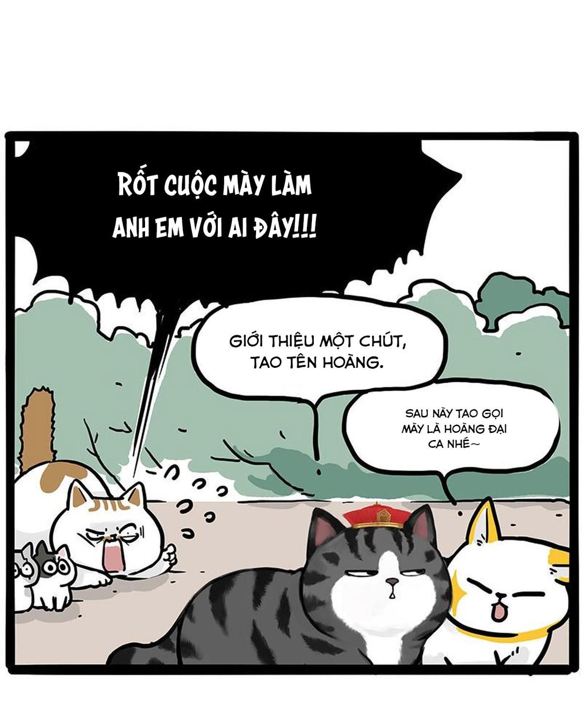 Hoàng Thượng Và Ba Trát Hắc Chapter 446 - Trang 2