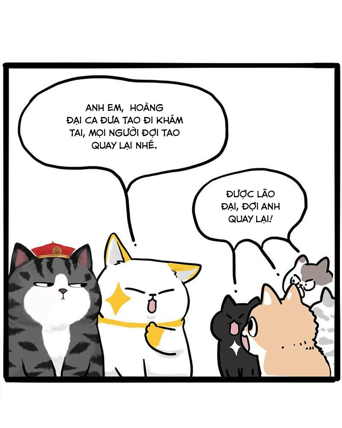 Hoàng Thượng Và Ba Trát Hắc Chapter 446 - Trang 2