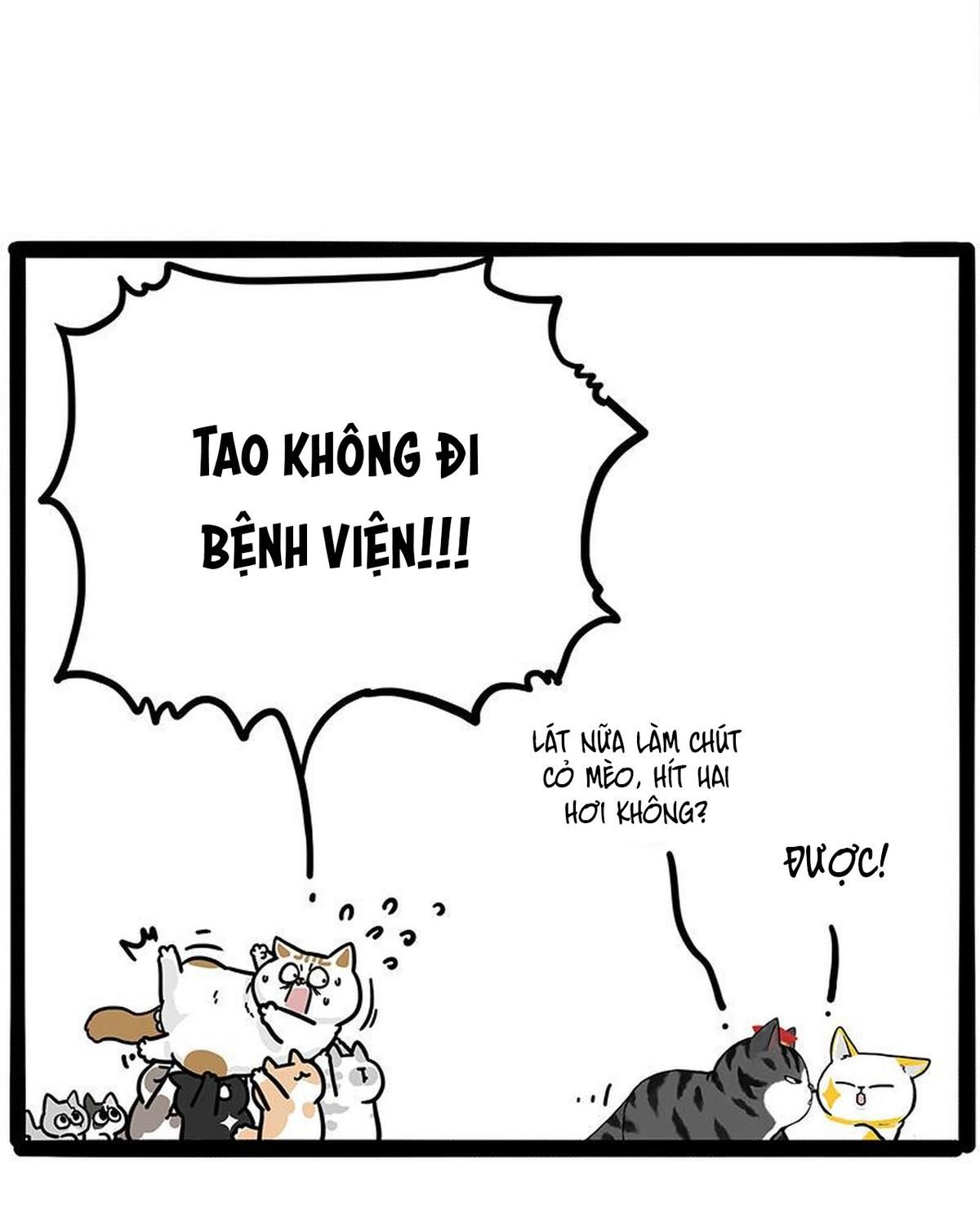 Hoàng Thượng Và Ba Trát Hắc Chapter 446 - Trang 2