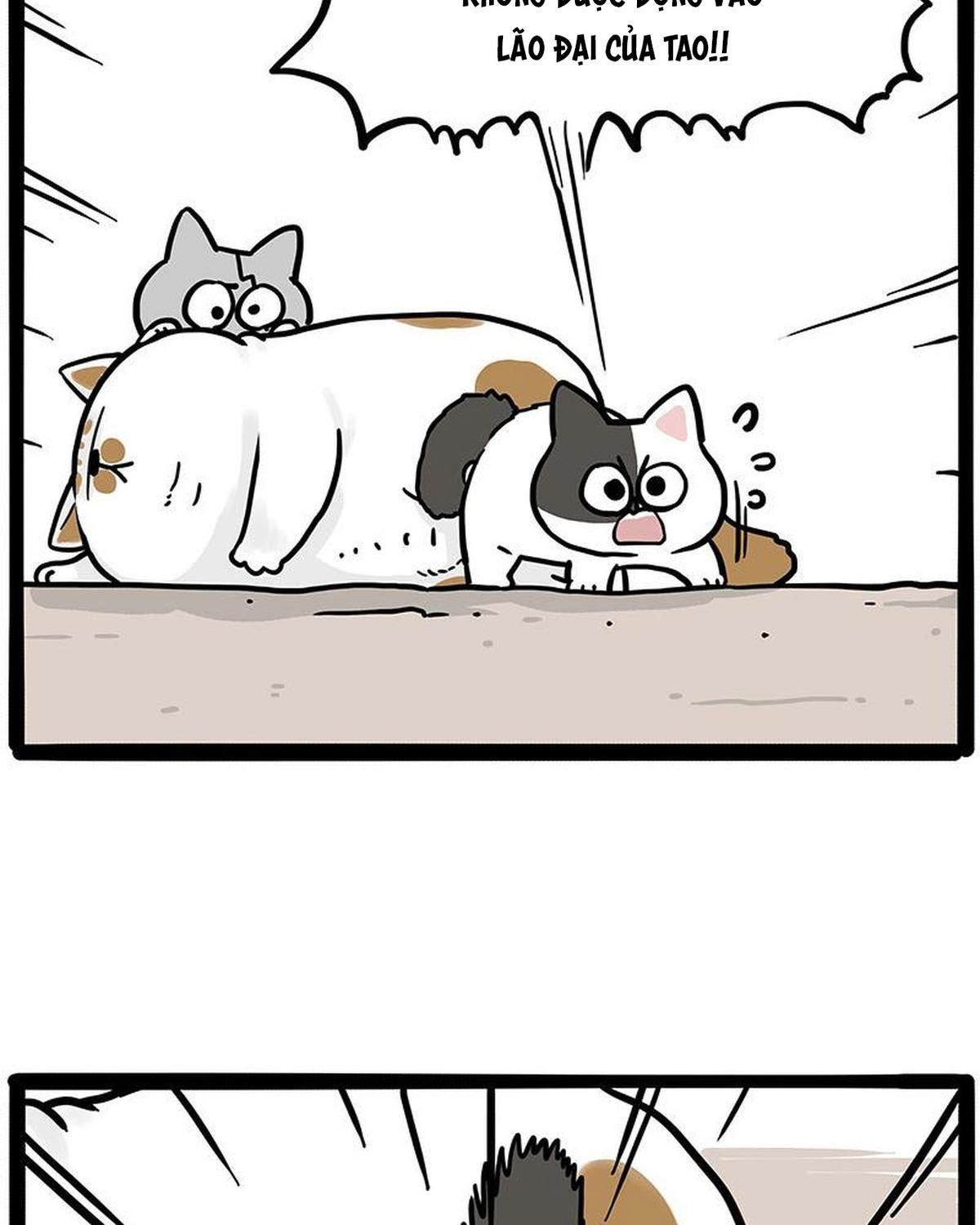 Hoàng Thượng Và Ba Trát Hắc Chapter 446 - Trang 2
