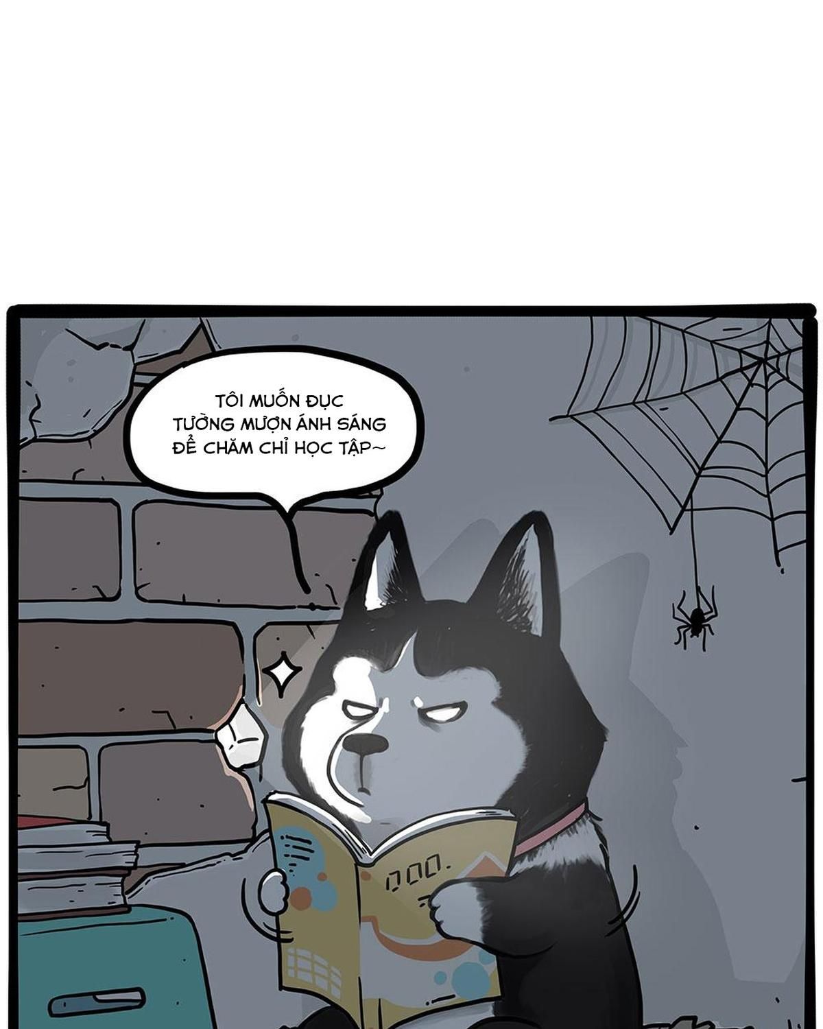 Hoàng Thượng Và Ba Trát Hắc Chapter 447 - Trang 2