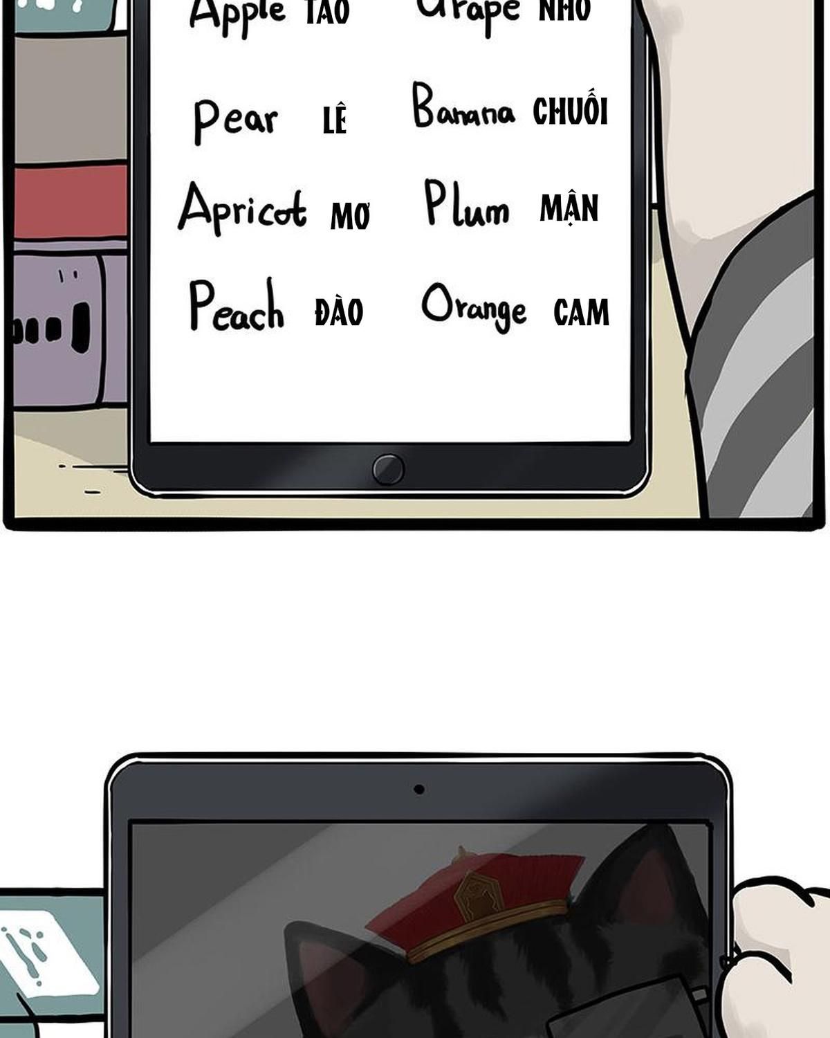 Hoàng Thượng Và Ba Trát Hắc Chapter 448 - Trang 2