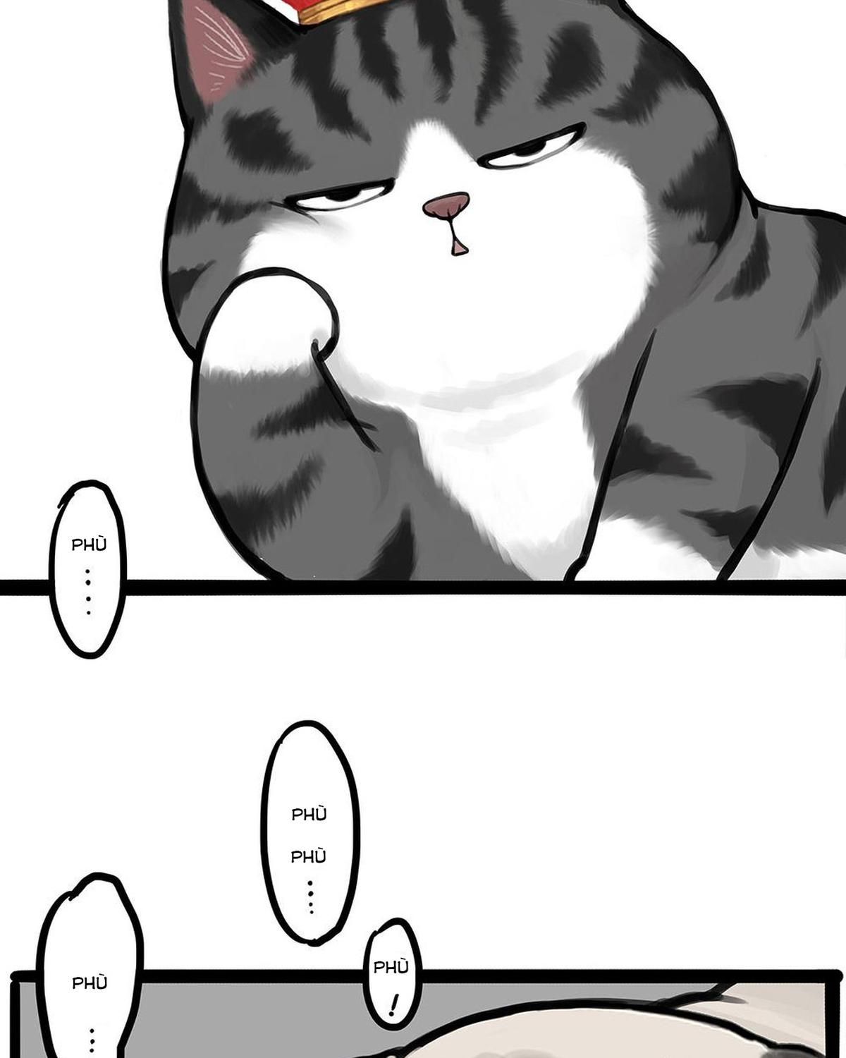 Hoàng Thượng Và Ba Trát Hắc Chapter 448 - Trang 2