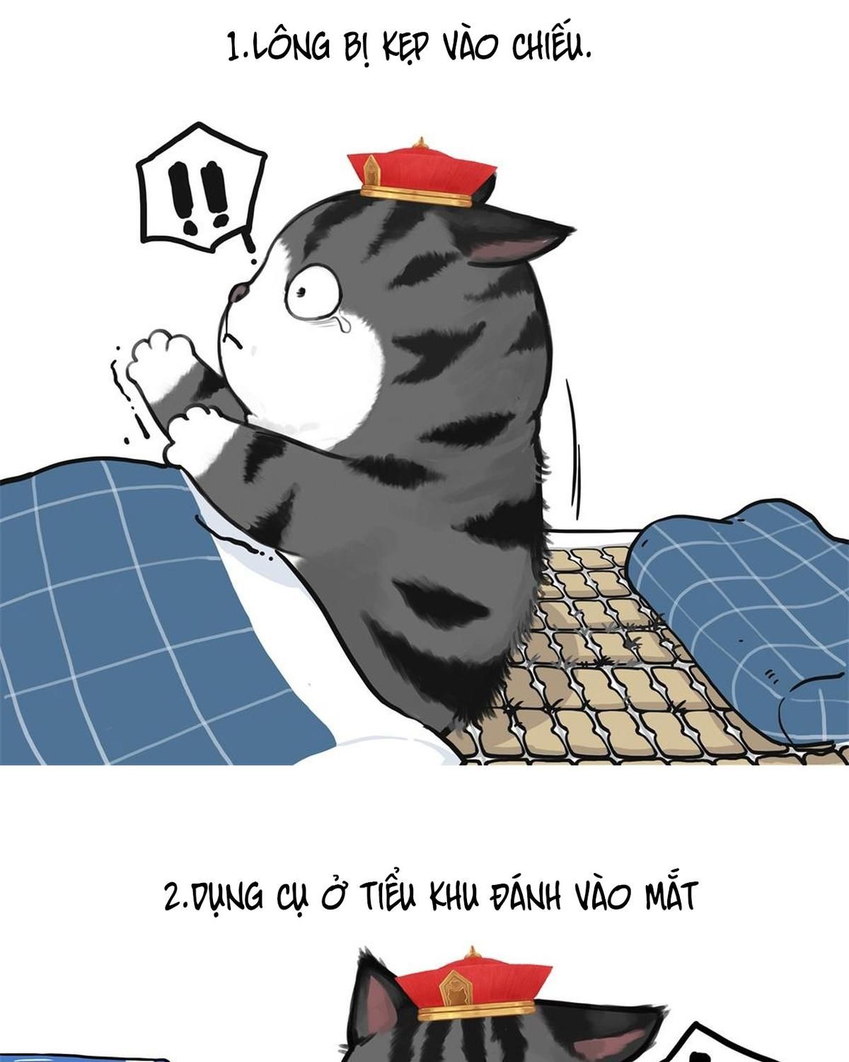 Hoàng Thượng Và Ba Trát Hắc Chapter 448 - Trang 2