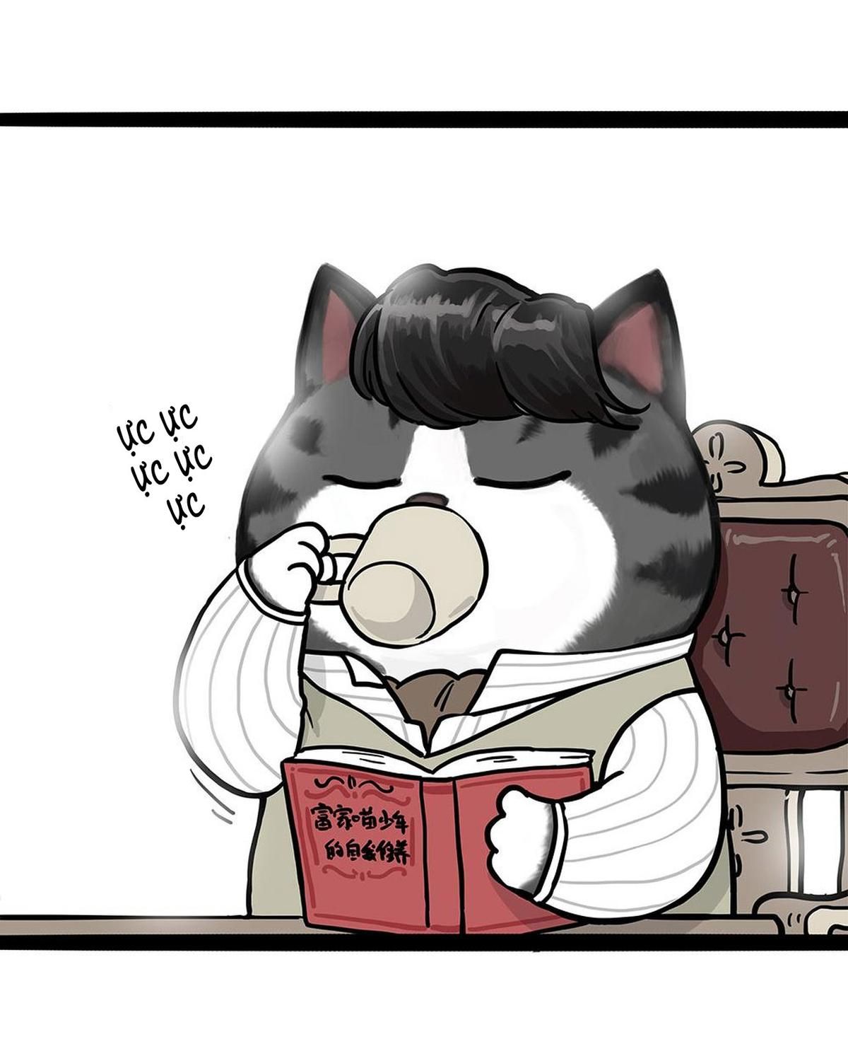 Hoàng Thượng Và Ba Trát Hắc Chapter 449 - Trang 2