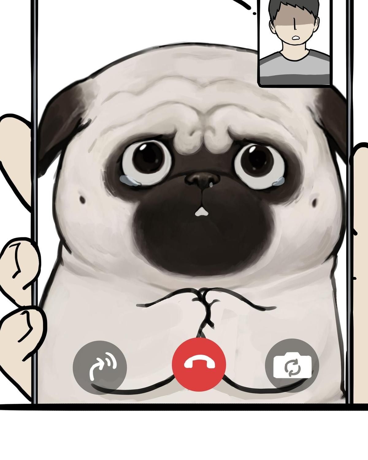 Hoàng Thượng Và Ba Trát Hắc Chapter 451 - Trang 2