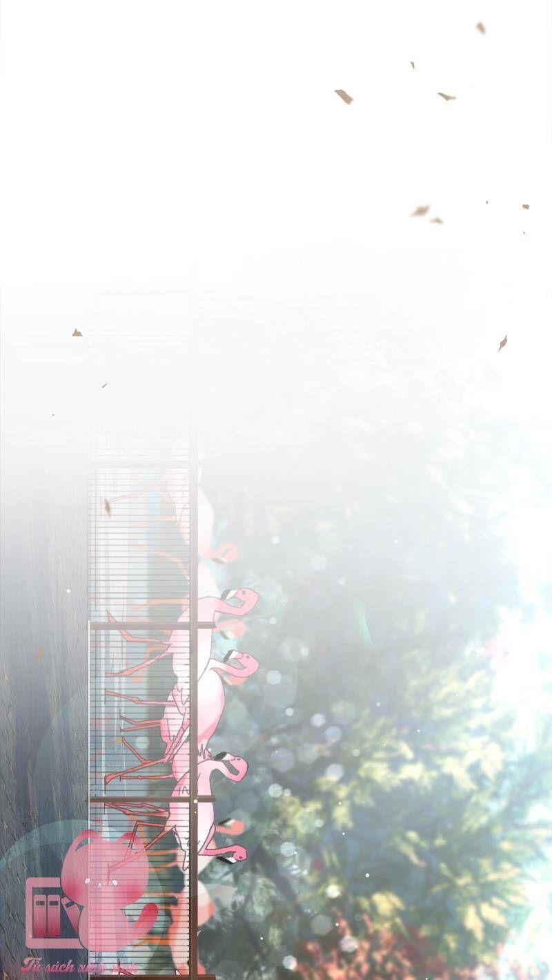 Bảo Mẫu Của Mafia Chapter 48 - Trang 2