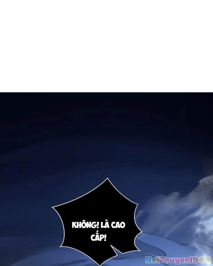 Mộ Quang Phân Giới Chapter 11 - Trang 2