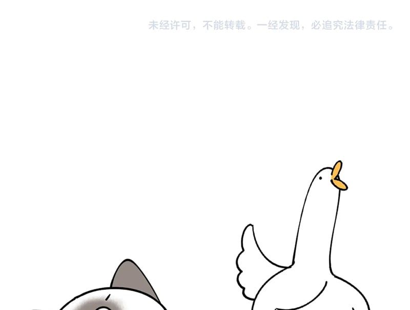Kết Hôn Chuyện Nhỏ Này Chapter 66 - Trang 2