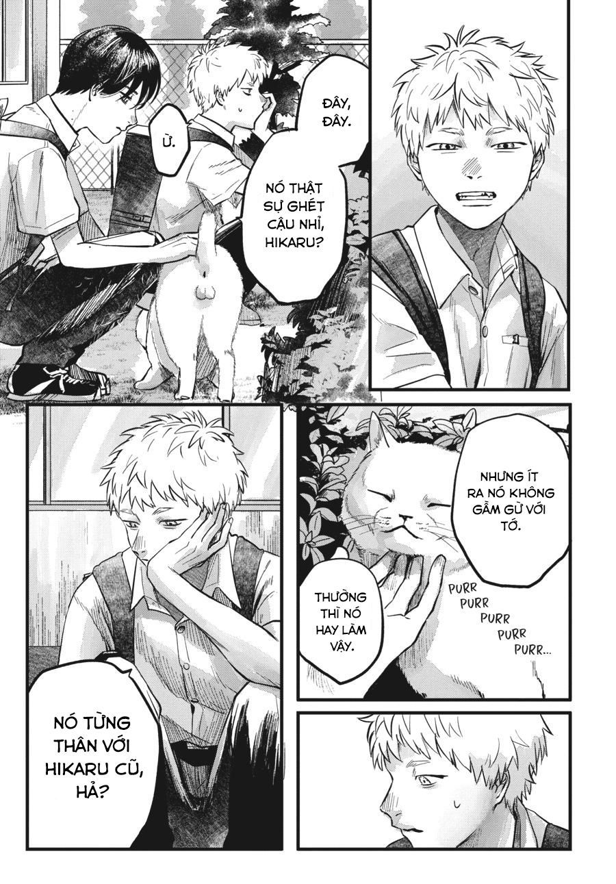 Mùa Hè Hikaru Ra Đi Chapter 8 - Trang 2