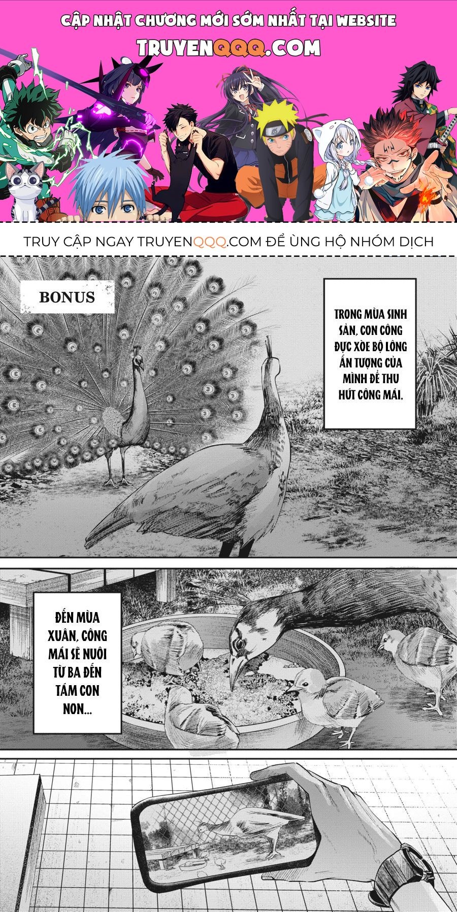 Mùa Hè Hikaru Ra Đi Chapter 11.5 - Trang 2