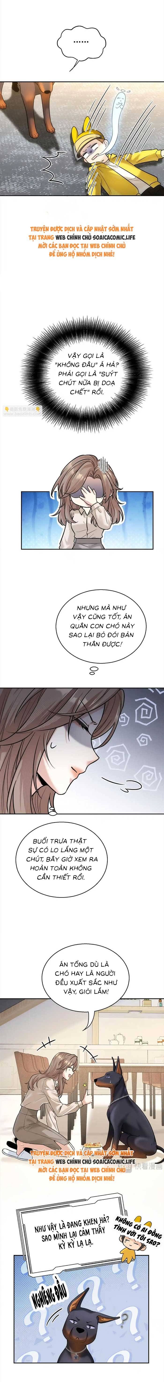 Tổng Tài Chó Chapter 11 - Trang 2