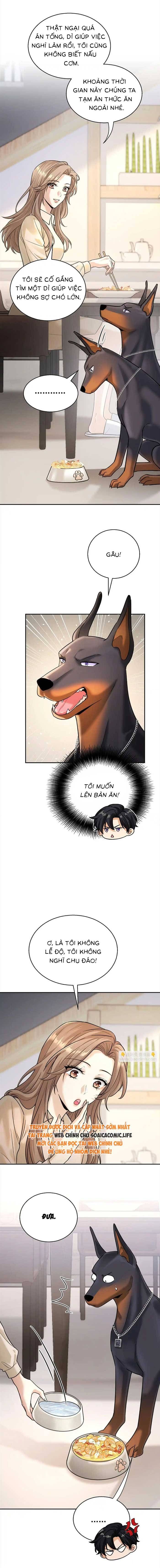 Tổng Tài Chó Chapter 11 - Trang 2
