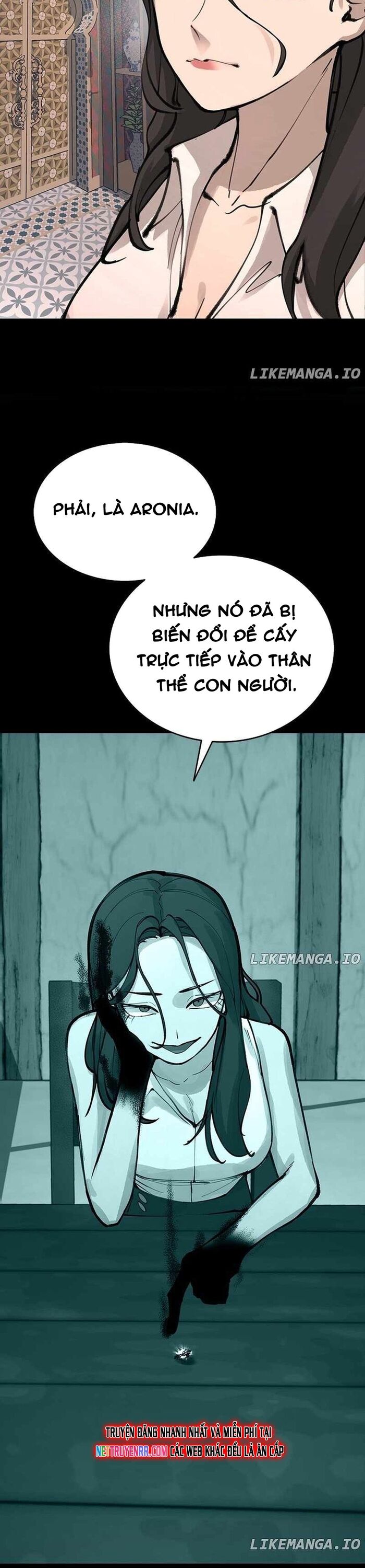 Ngọn Lửa Của Hòa Bình Chapter 41 - Trang 2