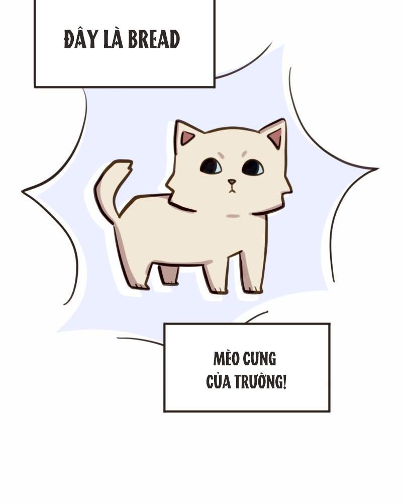 Không Phải Gu Tôi Chapter 28 - Trang 2