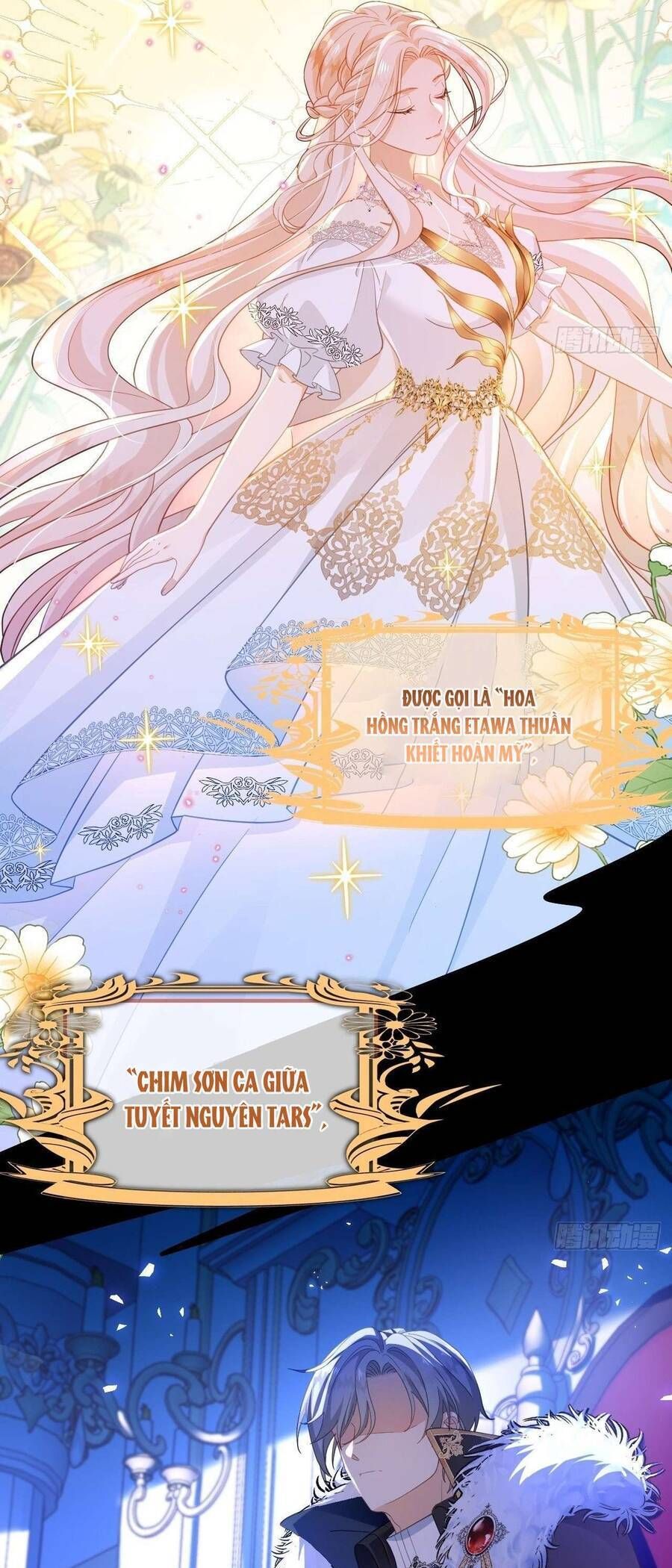 Bạo Chúa Khát Máu Là Chồng Cũ Của Tôi Chapter 1 - Trang 2