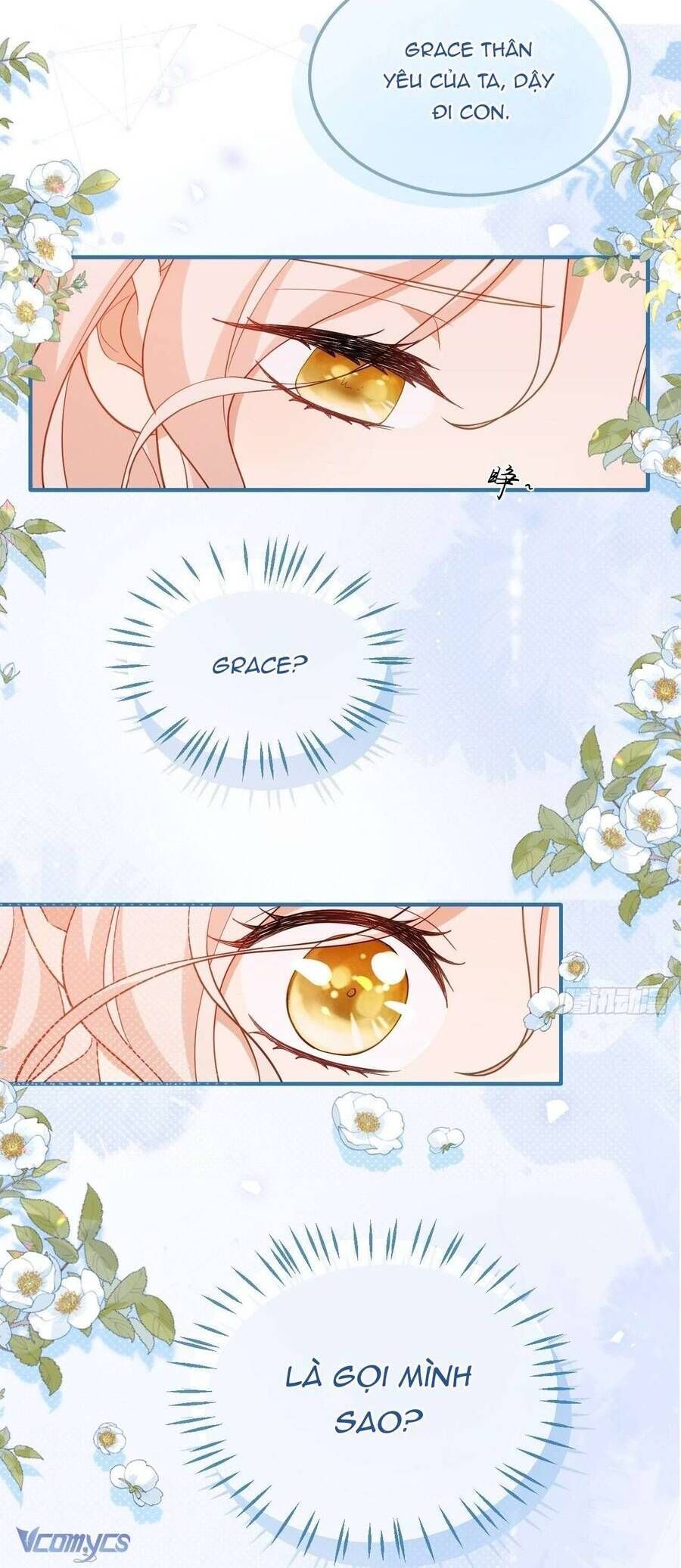 Bạo Chúa Khát Máu Là Chồng Cũ Của Tôi Chapter 1 - Trang 2