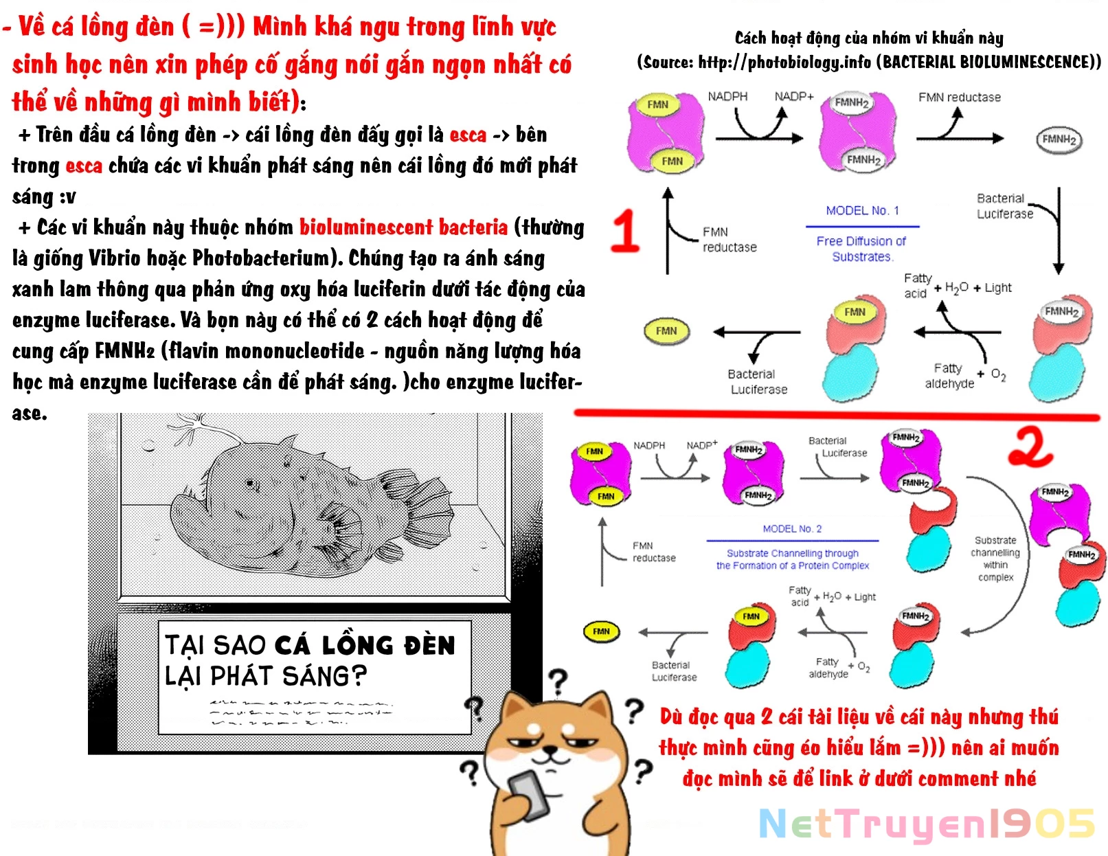 Cô Bạn Trầm Tính Bàn Bên Hóa Ra Lại Là Ca Sĩ Mà Tôi Mến Mộ ~ Bài Hát Này Của Tôi, Hãy Hát Lên Đi Nào! Chapter 4 - Trang 2