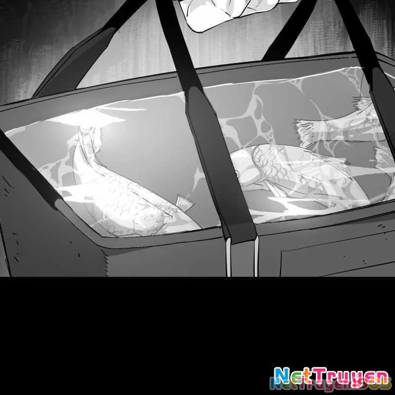 Sát Thủ Áo Đỏ Chapter 9 - Trang 2