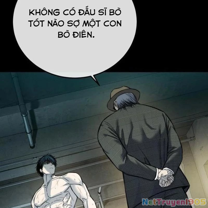 Sát Thủ Áo Đỏ Chapter 21 - Trang 2