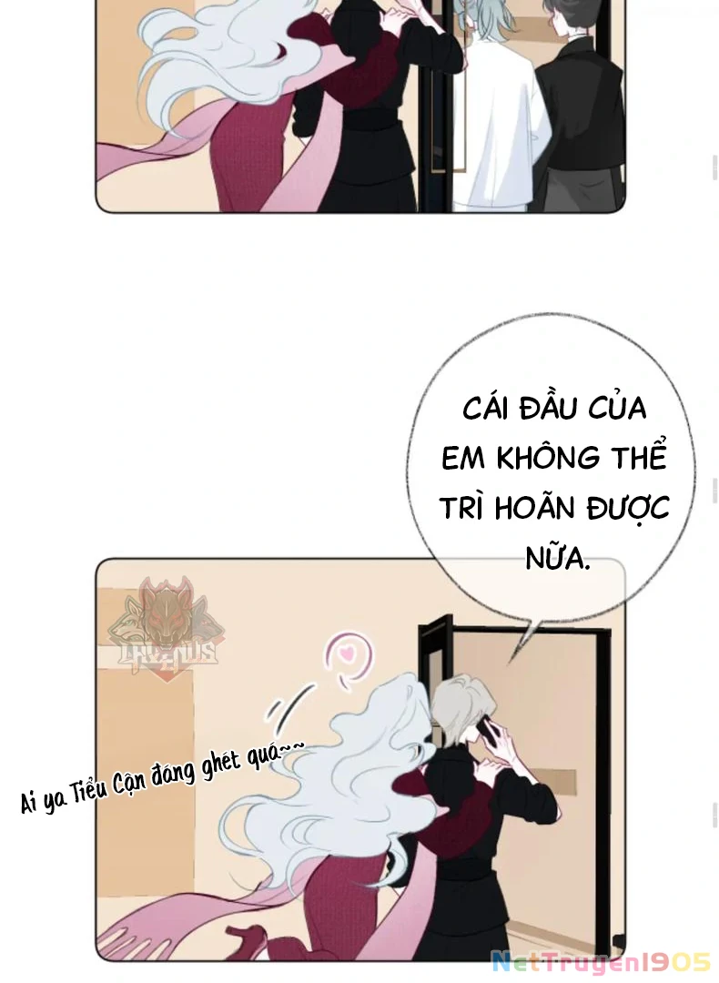 Nhịp Đập Cảm Xúc Chapter 4 - Trang 2