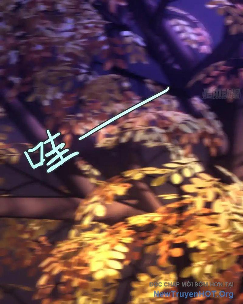 Gọi Ta Là Sư Ca Chapter 11 - Trang 2