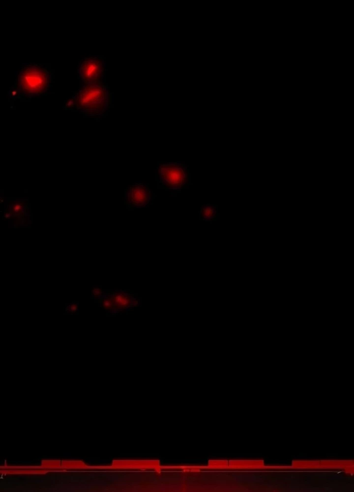 Phá Vỡ Phòng Thủ Chapter 2 - Trang 2