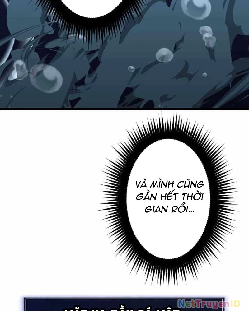 Vô Song Cùng Với Vũ Khí Ẩn Chapter 41 - Trang 2