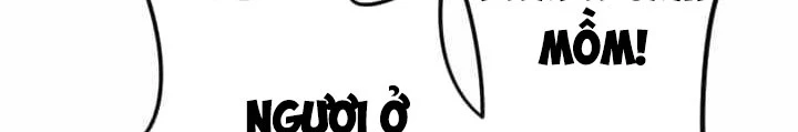 Vô Song Cùng Với Vũ Khí Ẩn Chapter 43 - Trang 2
