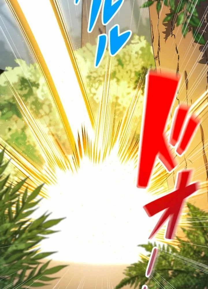 Vô Song Cùng Với Vũ Khí Ẩn Chapter 43 - Trang 2