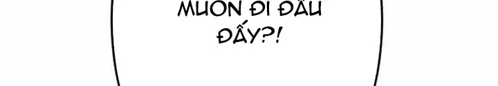 Vô Song Cùng Với Vũ Khí Ẩn Chapter 45 - Trang 2