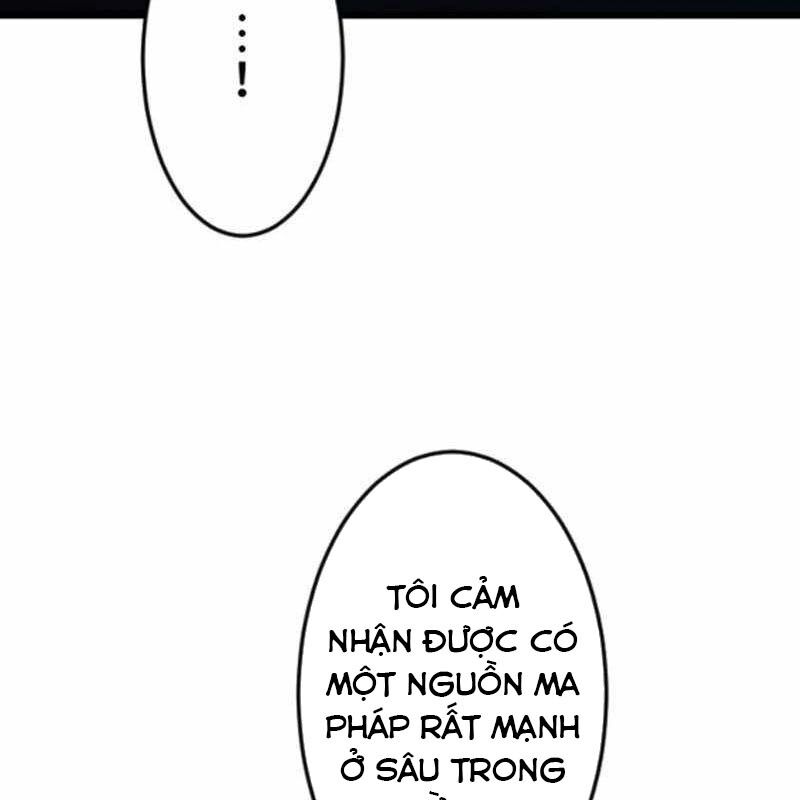 Vô Song Cùng Với Vũ Khí Ẩn Chapter 52 - Trang 2