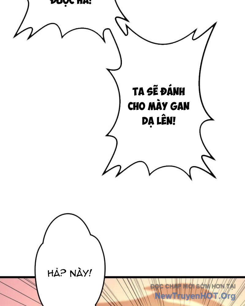 Vô Song Cùng Với Vũ Khí Ẩn Chapter 67 - Trang 2