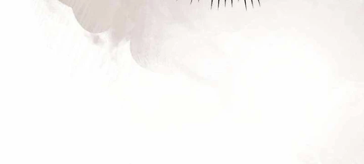 Kẻ Thống Trị Kịch Bản Chapter 24 - Trang 2