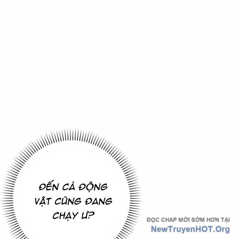 Sát Thủ Tái Sinh Thành Một Kiếm Sĩ Thiên Tài Chapter 71 - Trang 2