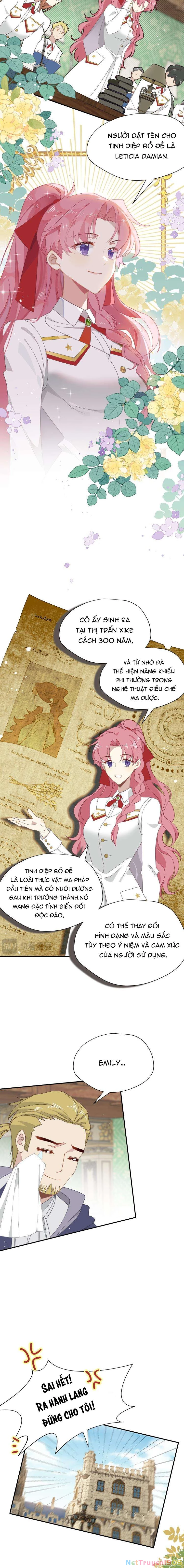 Xuyên Thành Phù Thủy Nuôi Dưỡng Kỵ Sĩ Thánh Điện Chapter 57 - Trang 2