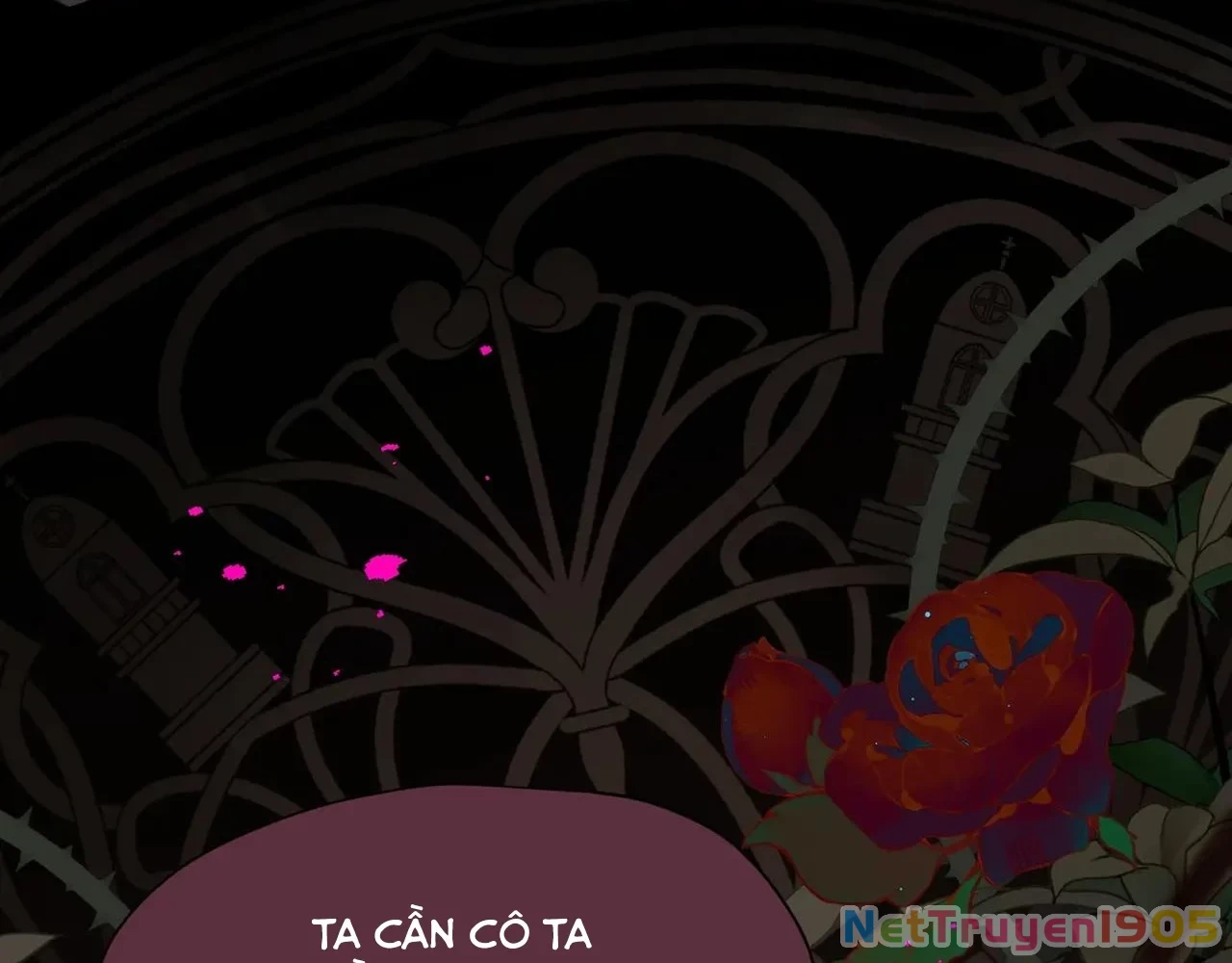 Xuyên Thành Phù Thủy Nuôi Dưỡng Kỵ Sĩ Thánh Điện Chapter 81 - Trang 2