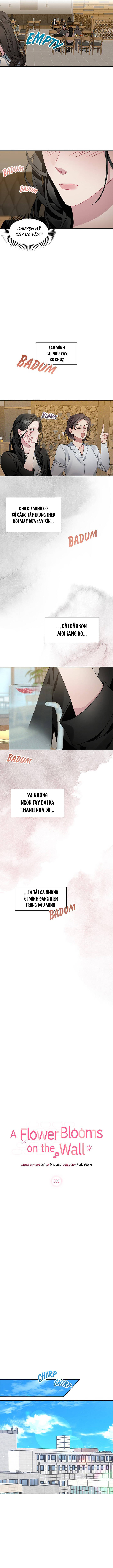 Một Bông Hoa Nở Trên Tường Chapter 4 - Trang 2