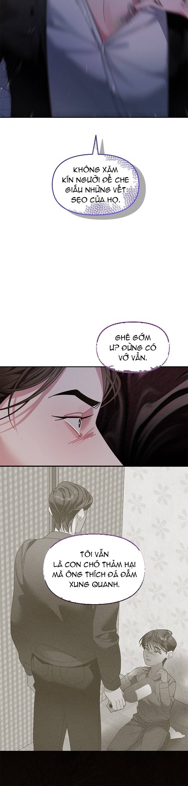 Một Bông Hoa Nở Trên Tường Chapter 13 - Trang 2