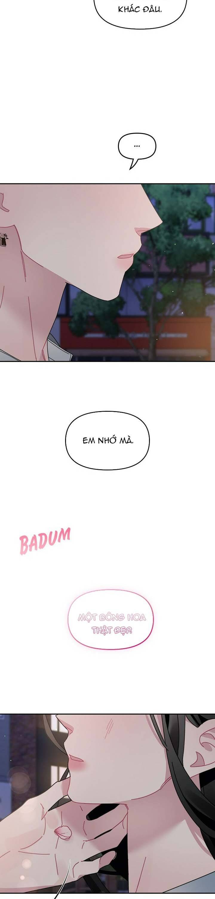 Một Bông Hoa Nở Trên Tường Chapter 19 - Trang 2