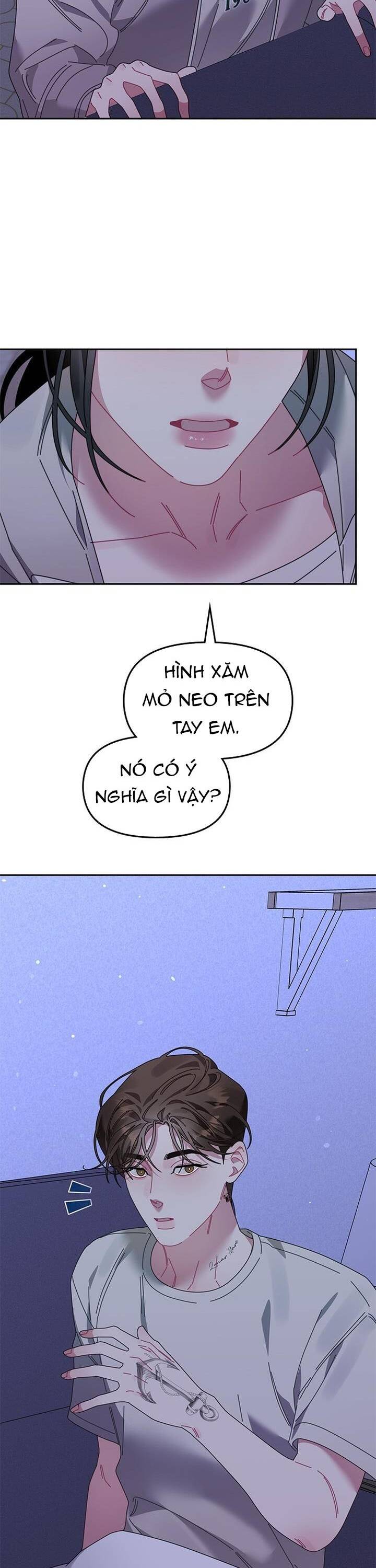 Một Bông Hoa Nở Trên Tường Chapter 23 - Trang 2