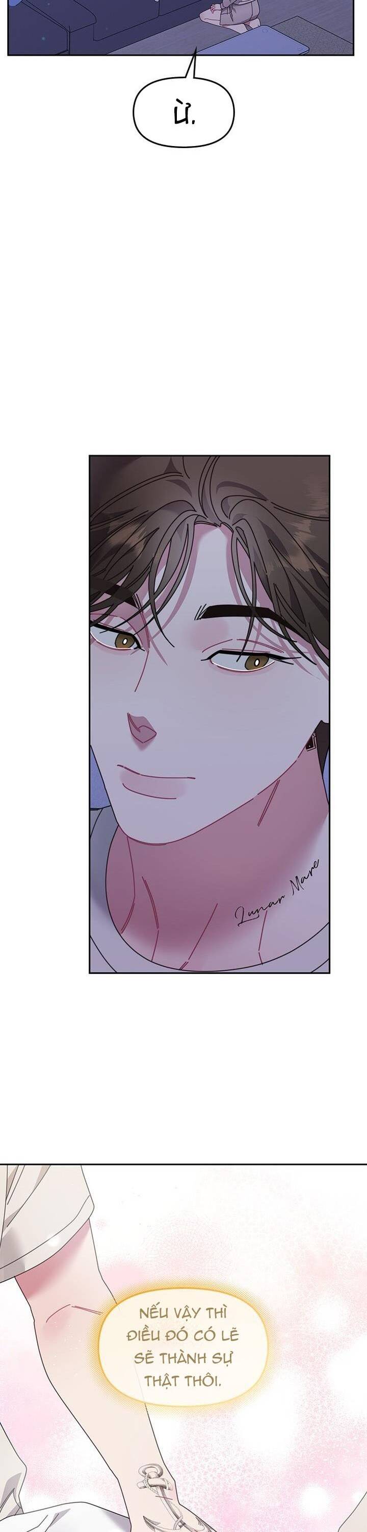 Một Bông Hoa Nở Trên Tường Chapter 23 - Trang 2