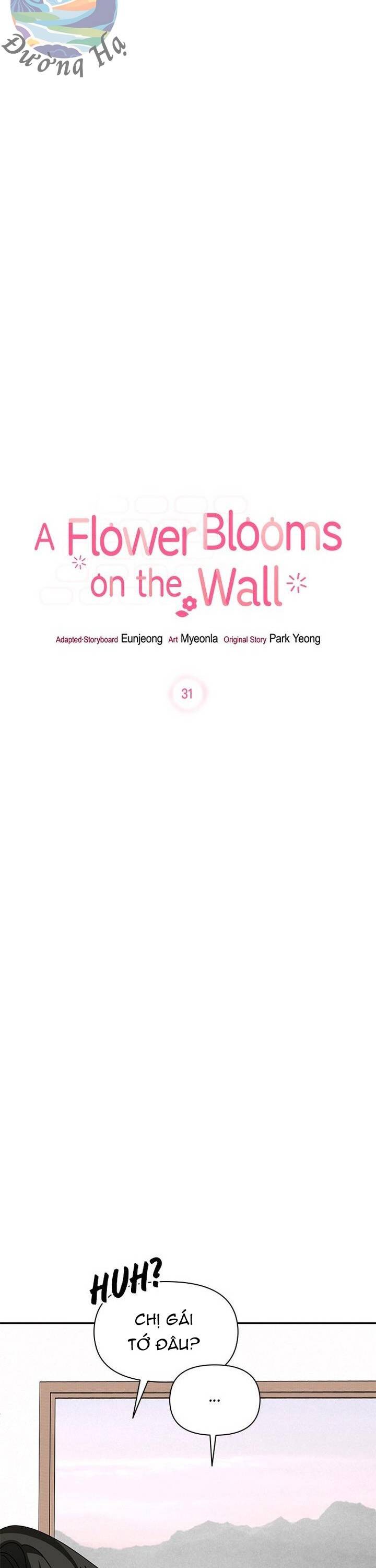 Một Bông Hoa Nở Trên Tường Chapter 31 - Trang 2