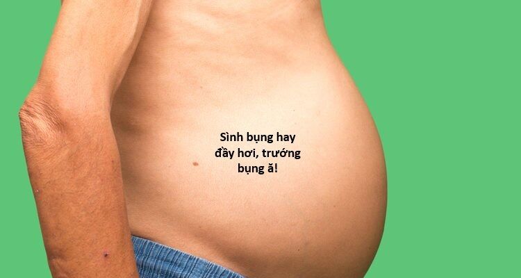 Ngay Cả Khi Hậu Tận Thế, Thật Hạnh Phúc Khi Vẫn Còn Được Sống… (Puchimasu Miếu) Chapter 0.3 - Trang 2