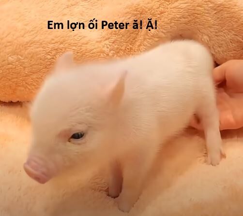 Ngay Cả Khi Hậu Tận Thế, Thật Hạnh Phúc Khi Vẫn Còn Được Sống… (Puchimasu Miếu) Chapter 4.3 - Trang 2