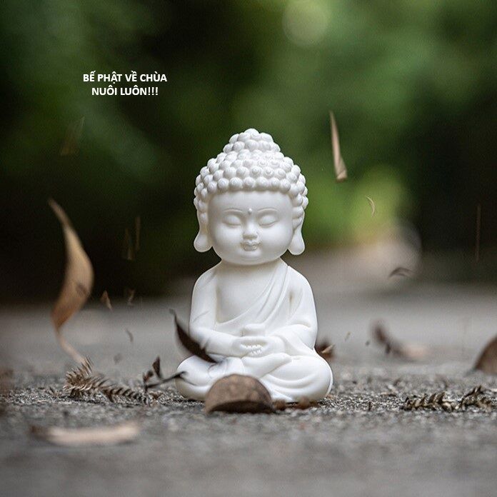 Ngay Cả Khi Hậu Tận Thế, Thật Hạnh Phúc Khi Vẫn Còn Được Sống… (Puchimasu Miếu) Chapter 4.5 - Trang 2