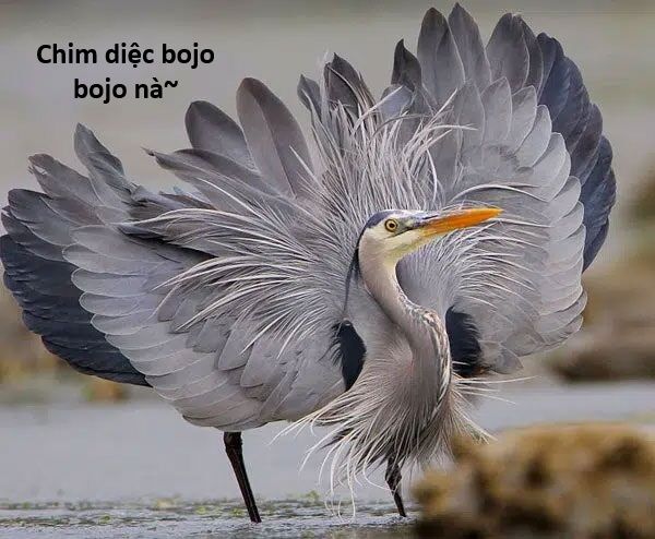 Ngay Cả Khi Hậu Tận Thế, Thật Hạnh Phúc Khi Vẫn Còn Được Sống… (Puchimasu Miếu) Chapter 4.5 - Trang 2